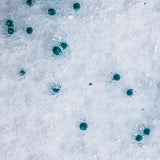 ZO Skin Health Exfoliating Cleanser 