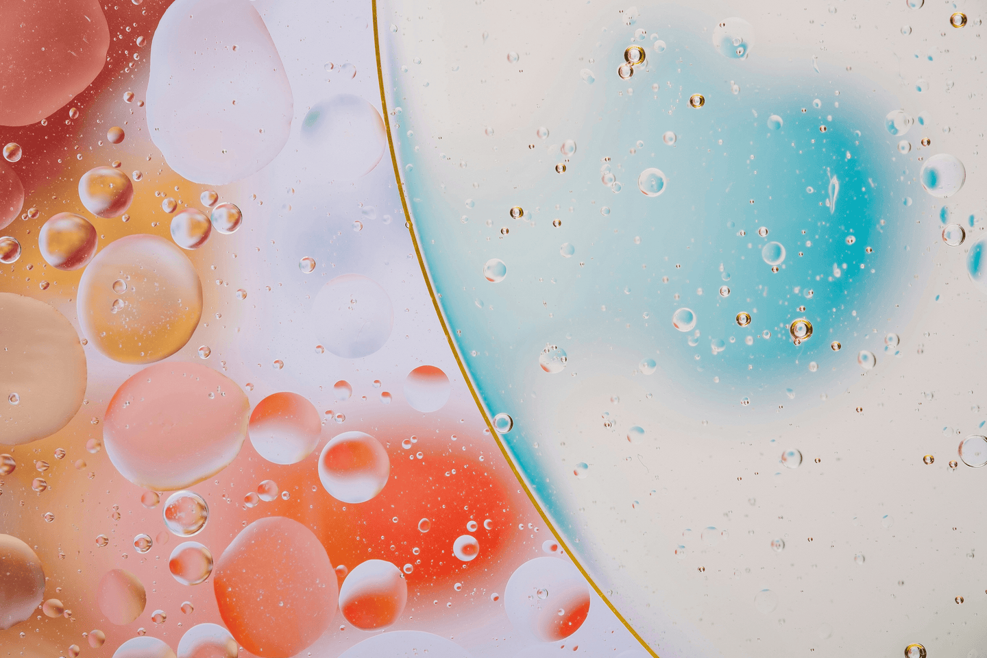 Shop All collection page